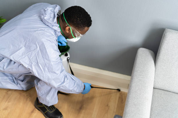 Professional Pest Control in Clayton, MO